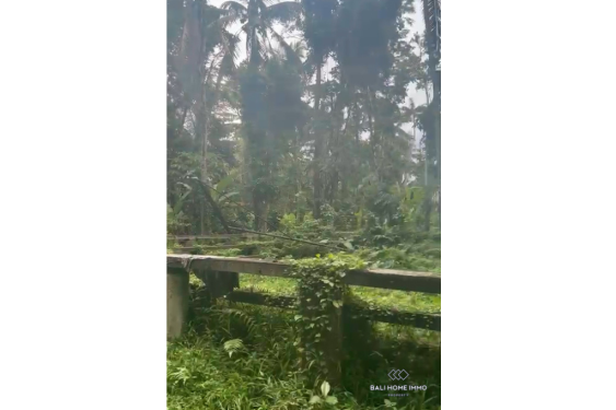 Image 4 from Tanah dijual dengan status hak sewa di Bali - Ubud
