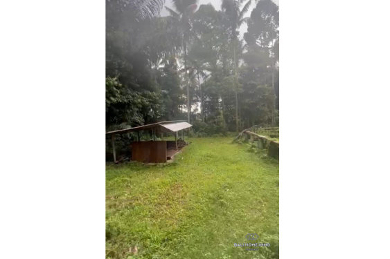 Image 3 from Tanah dijual dengan status hak sewa di Bali - Ubud