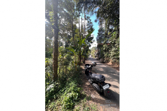 Image 2 from Tanah dijual di Bali Ubud