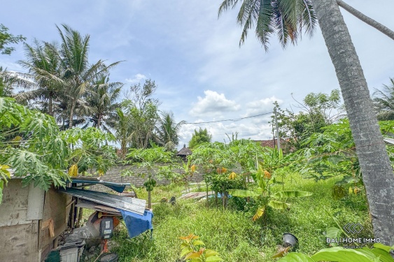 Image 5 from Land for sale leasehold in Bali Ubud