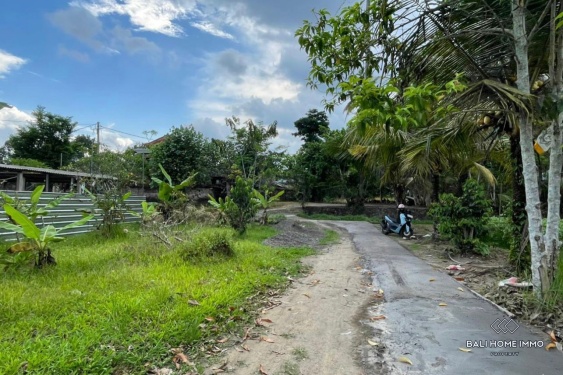 Image 2 from Terrain à vendre en bail emphytéotique à Bali - Ubud