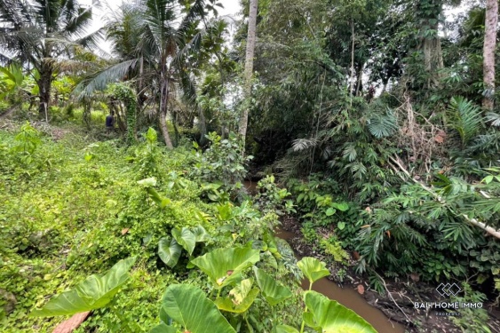 Image 5 from Terrain à vendre en bail emphytéotique à Bali - Ubud
