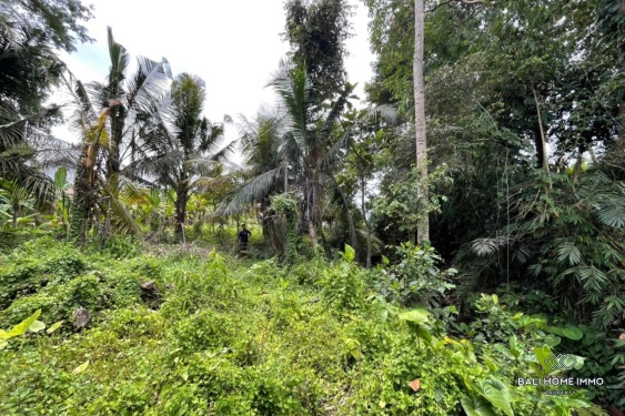 Image 4 from Terrain à vendre en bail emphytéotique à Bali - Ubud
