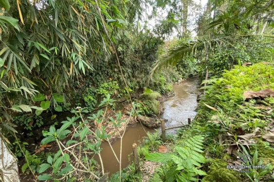 Image 7 from Terrain à vendre en bail emphytéotique à Bali - Ubud
