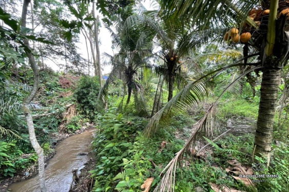 Image 6 from Terrain à vendre en bail emphytéotique à Bali - Ubud