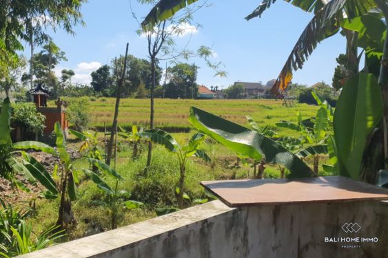 Image 3 from Tanah Disewakan Jangka Panjang di Bali Umalas