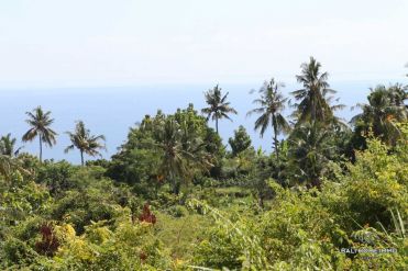 Image 2 from Land for Sale Leasehold in Lovina