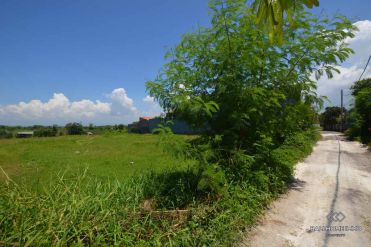 Image 2 from Land For Sale Leasehold in Canggu - Berawa
