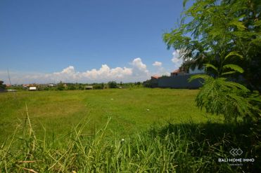 Image 3 from Land For Sale Leasehold in Canggu - Berawa