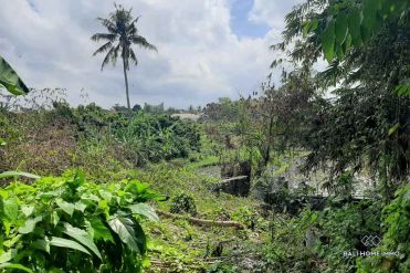 Image 2 from Land For Sale Leasehold in Canggu