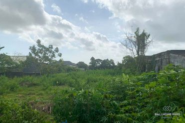 Image 2 from Land For Sale Leasehold in Canggu