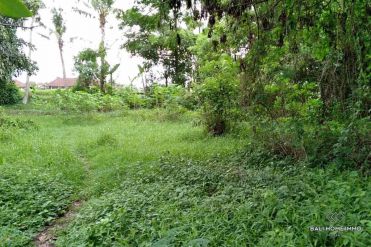 Image 1 from Land For Sale Leasehold in Kaba-Kaba