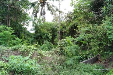 Image 2 from Land For Sale Leasehold in Kaba-Kaba