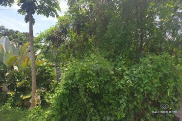 Image 1 from Land for Sale Leasehold in North Canggu
