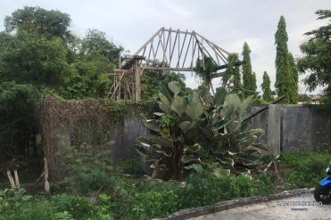 Image 3 from Tanah Dikontrakkan Jangka Panjang di Area Residensial Canggu