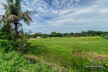 Image 2 from Land for Sale Leasehold in Pererenan