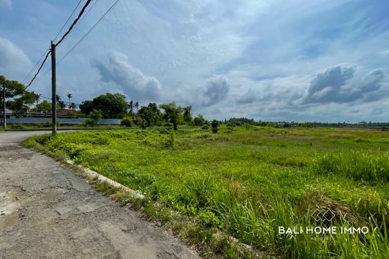 Image 3 from Land for Sale Leasehold in Tanah Lot Kedungu near Beach