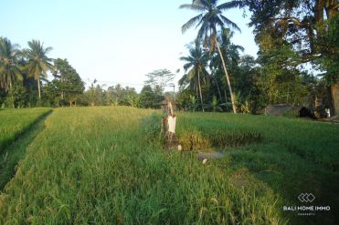 Image 3 from Land for Sale Leasehold in Tegalalang, Ubud