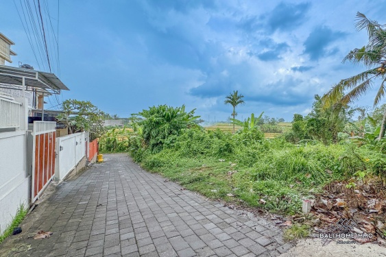 Image 7 from Land for sale leasehold with view in Bali Cepaka