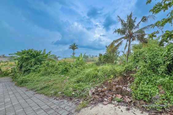 Image 3 from Tanah dijual hak guna usaha dengan pemandangan di Bali Cepaka