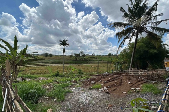 Image 3 from Land for sale leasehold with view in Bali Cepaka