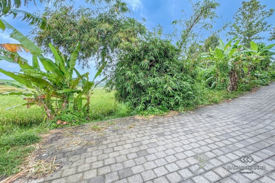 Image 6 from Land for sale leasehold with view in Bali Cepaka