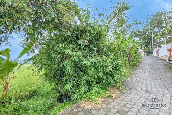 Image 5 from Land for sale leasehold with view in Bali Cepaka