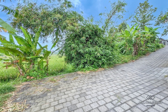 Image 4 from Land for sale leasehold with view in Bali Cepaka