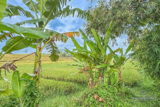 Image 2 from Tanah dijual hak guna usaha dengan pemandangan di Bali Cepaka