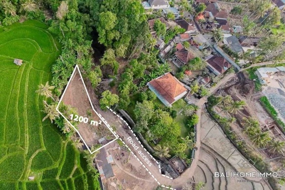 Image 1 from Land with 120m² Wide Ricefield View for Sale Freehold in Bali Pererenan Tumbak Bayuh
