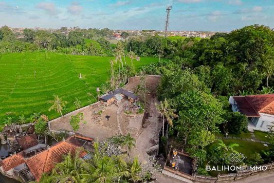 Image 2 from Land with 120m² Wide Ricefield View for Sale Freehold in Bali Pererenan Tumbak Bayuh