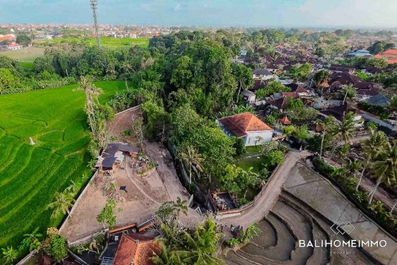 Image 3 from Land with 125m Wide Ricefield View for Sale Freehold in Bali Pererenan - Tumbak Bayuh
