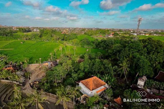 Image 18 from Terrain à vendre à Bali, Pererenan Tumbak Bayuh, avec vue sur une rizière de 120 m² de large.