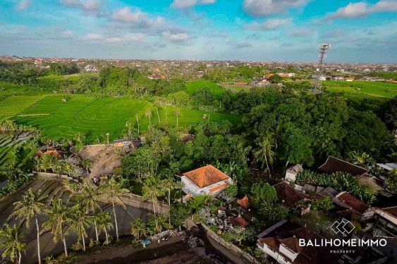 Image 4 from Terrain à vendre à Bali, Pererenan Tumbak Bayuh, avec vue sur une rizière de 120 m² de large.