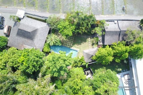 Image 2 from Terrains 6.7 ares avec villas joglo à vendre en leasehold à Bali Pererenan