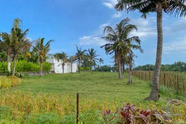 Image 2 from Land with ocean view for sale freehold in Tabanan