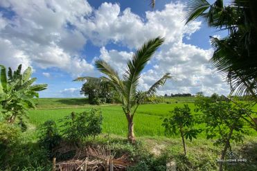 Image 3 from Streetfront Land with Ricefield View For Lease in North Canggu