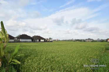 Image 1 from Land with Ricefield View  for Sale Freehold near Cemagi Beach