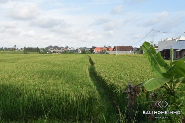 Image 3 from Land with Ricefield View  for Sale Freehold near Cemagi Beach