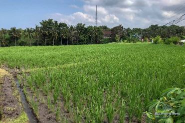 Image 3 from Terrain avec vue sur Ricefield à vendre dans la région de Tanah Lot