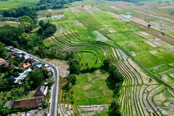 Image 3 from Tanah dengan pemandangan sawah Disewakan Jangka Panjang di Bali Tanah Lot bagian Utara