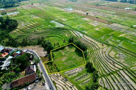 Image 2 from Tanah dengan pemandangan sawah Disewakan Jangka Panjang di Bali Tanah Lot bagian Utara
