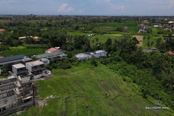 Image 3 from Terrain avec vue sur les rizières à vendre en bail à Bali Tumbak Bayuh