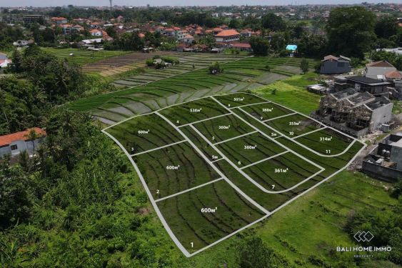 Image 2 from Land with ricefield view for sale leasehold in Bali Tumbak Bayuh