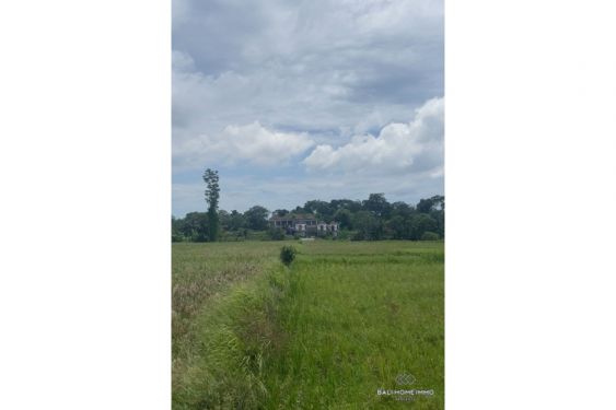 Image 4 from Land with View for Sale in Bali Tanah Lot North side