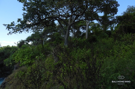 Image 5 from Land with View for Sale Freehold in Sumba