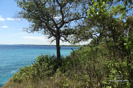Image 3 from Land with View for Sale Freehold in Sumba