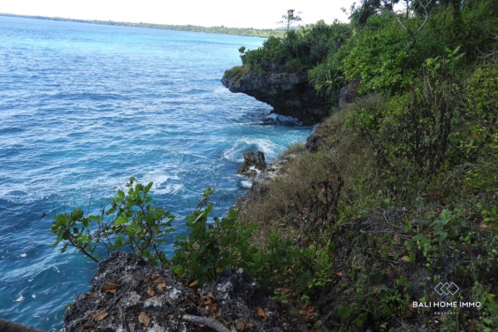Image 4 from Land with View for Sale Freehold in Sumba