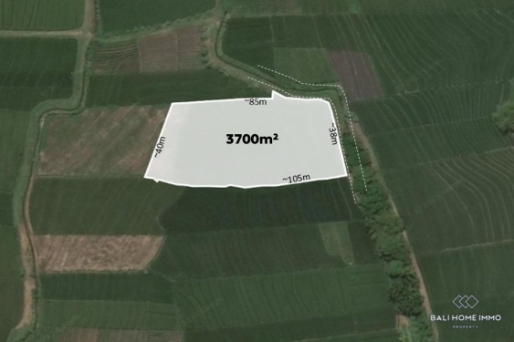 Image 1 from Land with View for Sale in Bali Tibubiu