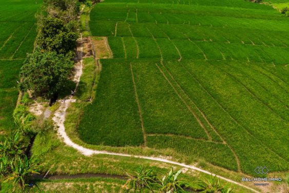 Image 3 from Dijual Tanah dengan Pemandangan di Bali Tibubiu